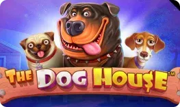 GoKong – The Dog House